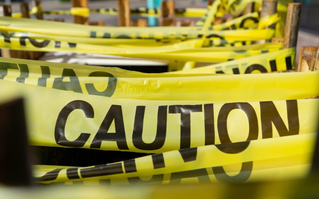 Domains for Business: A Cautionary Tale