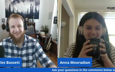 Telling the SMB Story, Leveraging User Generated Content, and Anna Joins the Show!