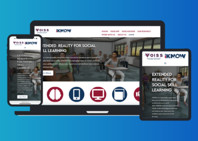 Project VOISS/iKNOW