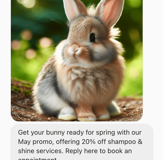 Send Pictures in SMS Campaigns